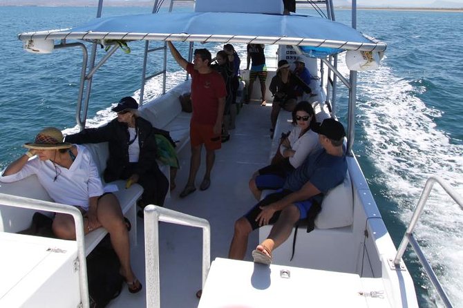 Espiritu Santo Island Snorkel & Sea Lion Adventure - Ensenada Grande Beach Stop: Ceviche Lunch and Your Choice of Water or Sun