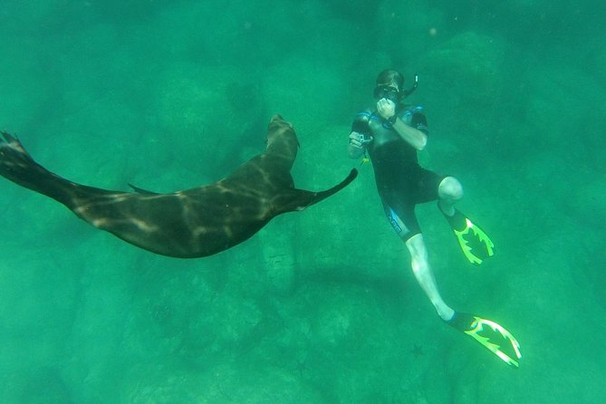 Espiritu Santo Island Snorkel & Sea Lion Adventure - Price and Value: What $145 Really Covers