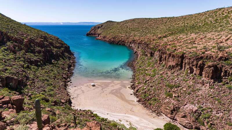 Espiritu Santo Island: Snorkeling Sea Lion Adventure - The reef stop you’ll be glad you don’t rush