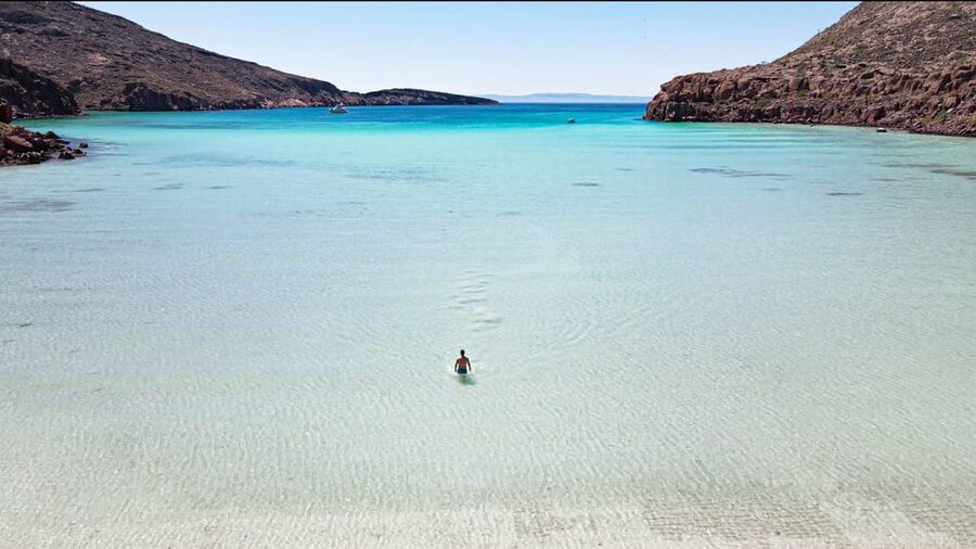 Espiritu Santo Island: Snorkeling Sea Lion Adventure - On the route: dolphins, whales, and mobula rays