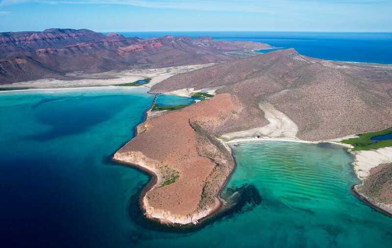 Espiritu Santo Island: Snorkeling Sea Lion Adventure - What happens when weather or rules change your sea lion plan