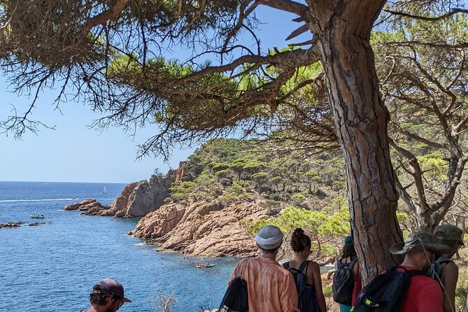 Explore Costa Brava & Tossa de Mar Coastal Trails, Snorkel & Meal - Cami de Ronda: The Coastal Path That Makes the Day