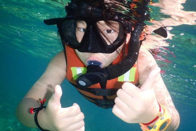 Explore Nha Trang Bay: Half-Day Snorkeling Adventure Tour - Breakfast fruit buffet, banh mi lunch, and snacks that keep you happy