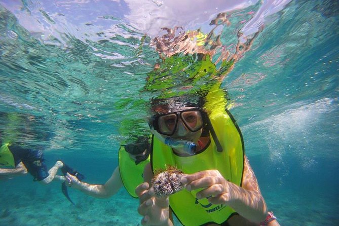 Fajardo Afternoon Snorkeling Adventure Tour - Your gear setup: snorkeling gear, flotation, and a quick reality check