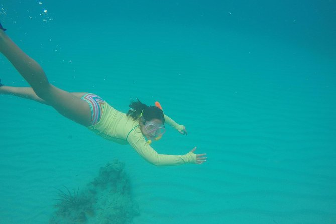 Fajardo Afternoon Snorkeling Adventure Tour - Drinks, rules, and the reality of a limited open-sea menu