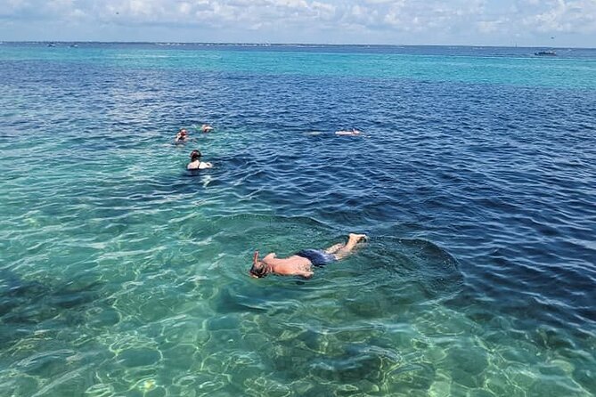 Family-Friendly Snorkeling and Dolphin Tour from FWB - Crab Island and the Gulf view: wildlife spotting with a built-in wow factor