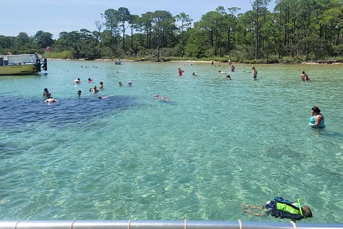 Family-Friendly Snorkeling and Dolphin Tour from FWB - Gulf of Mexico stop: sharks, manatees, and sea turtles (with time to look)