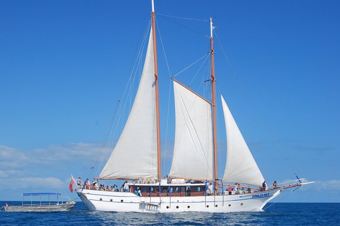 Fijian Islands and Snorkel Full-Day Whales Tale Cruise including Beach BBQ Lunch - Key highlights at a glance