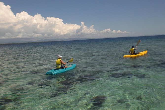 Fijian Islands and Snorkel Full-Day Whales Tale Cruise including Beach BBQ Lunch - Why Snorkel Island feels like a private Fiji reset from Nadi