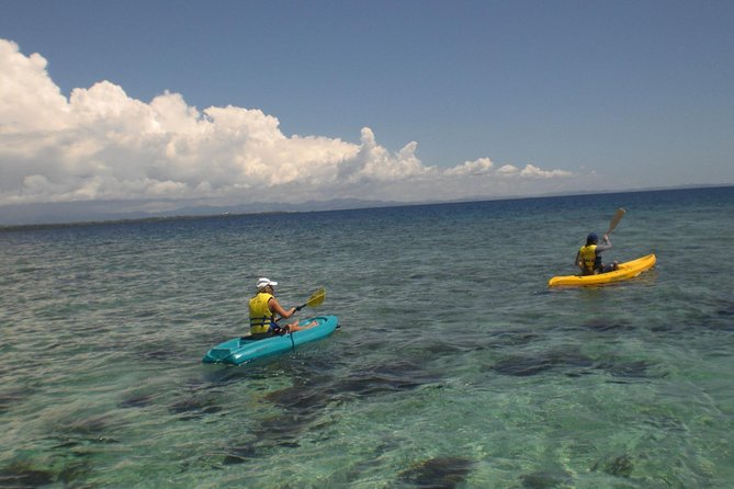 Fijian Islands and Snorkel Full-Day Whales Tale Cruise including Beach BBQ Lunch - Arriving at Snorkel Island: white sand time, coral reef snorkeling, or plain relaxing