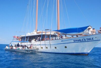 Fijian Islands and Snorkel Full-Day Whales Tale Cruise including Beach BBQ Lunch - Breakfast at sea, plus a route view of Malamala, Vunavadra, Bounty, and Treasure