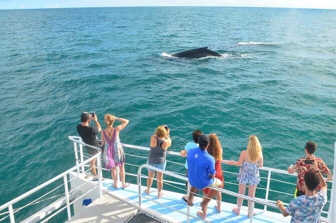 Flamingo Family Fun Catamaran Snorkel:Comfortable shaded seating - Lunch, drinks, and the waterslide that steals the show