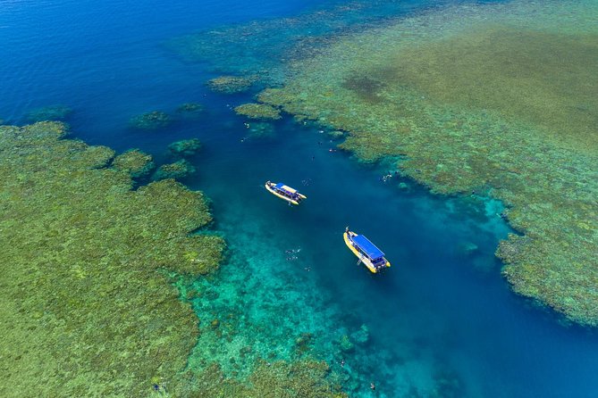 Fly Raft Package: Whitehaven Beach, Snorkel and Scenic Flight - Price and value check: what you’re paying for at $383.73