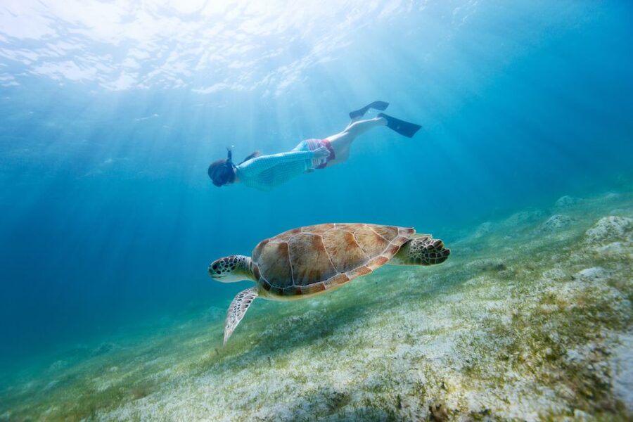 Fort Walton Beach: Morning Dolphin Cruise with Snorkel Stop - Starting Point In Fort Walton Beach: Make It Easy on Yourself