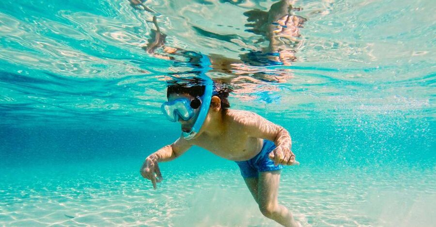 Fort Walton Beach: Morning Dolphin Cruise with Snorkel Stop - Snorkel Stop Plans: One Hour in the Water