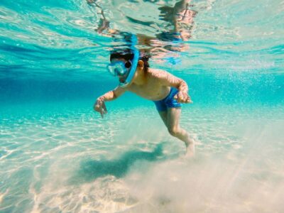 Fort Walton Beach: Morning Dolphin Cruise with Snorkel Stop - Dolphin Watching on the Emerald Coast: What You Can Control