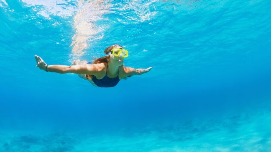 Fort Walton Beach: Morning Dolphin Cruise with Snorkel Stop - Price and Value: Is $41 Worth It for a 3-Hour Morning?