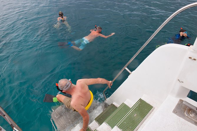 Four Winds Molokini Snorkeling Tour from Maalaea Harbor - The Cruise to Molokini: Haleakala Views and On-Board Naturalist Talk