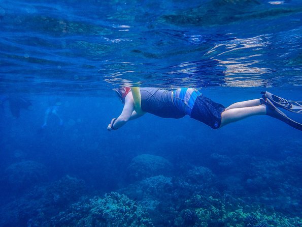 Four Winds Molokini Snorkeling Tour from Maalaea Harbor - Molokini Snorkeling Time: Gear, Coaching, and What to Expect