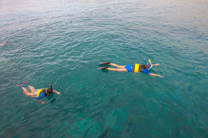 Four Winds Molokini Snorkeling Tour from Maalaea Harbor - Packing Checklist: Reef-Safe and Realistic