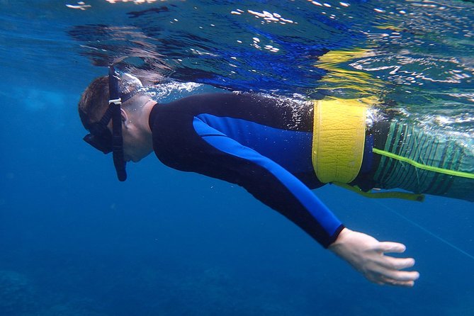 Four Winds Molokini Snorkeling Tour from Maalaea Harbor - The Four Winds Glass-Bottom Catamaran: Comfort + Views
