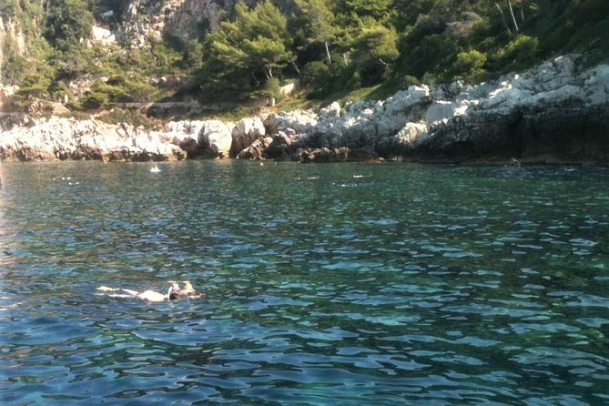 French Riviera Villefranche Bay Snorkeling Tour from Nice - The water time in a Villefranche-area cove: what you can realistically see