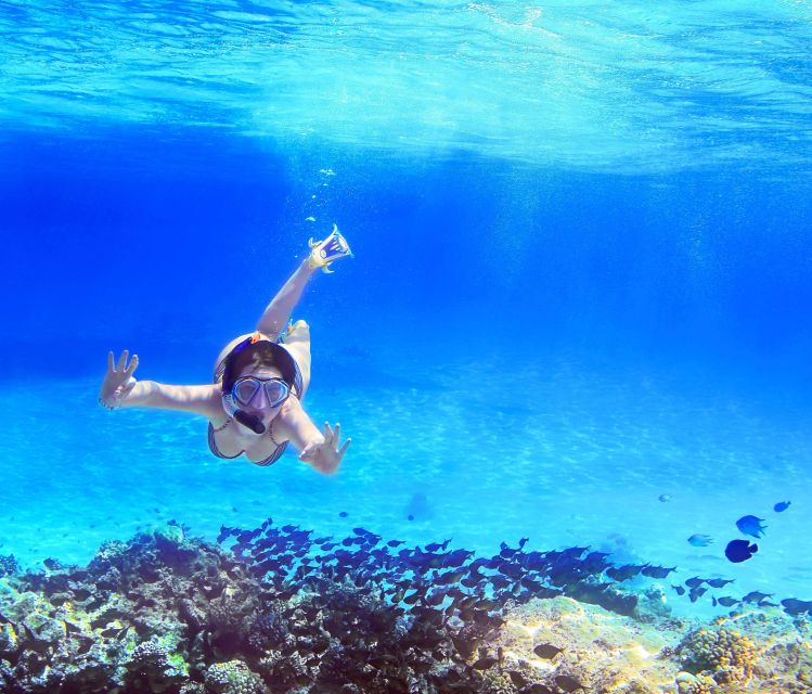 From Amalfi: Capri Island Boat Tour with Snorkeling & Drinks - The Best Part: 3 Hours on Capri Without Added Charges