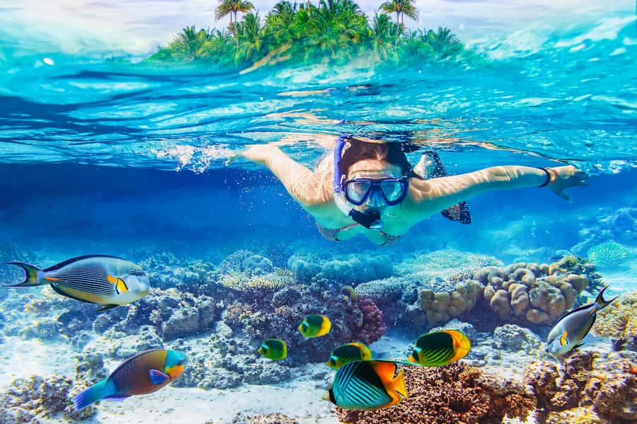 From Bali: 3 Snorkeling Spots Tour to Lembongan and Penida - From Bali to Nusa Lembongan: the ferry ride that sets the tone