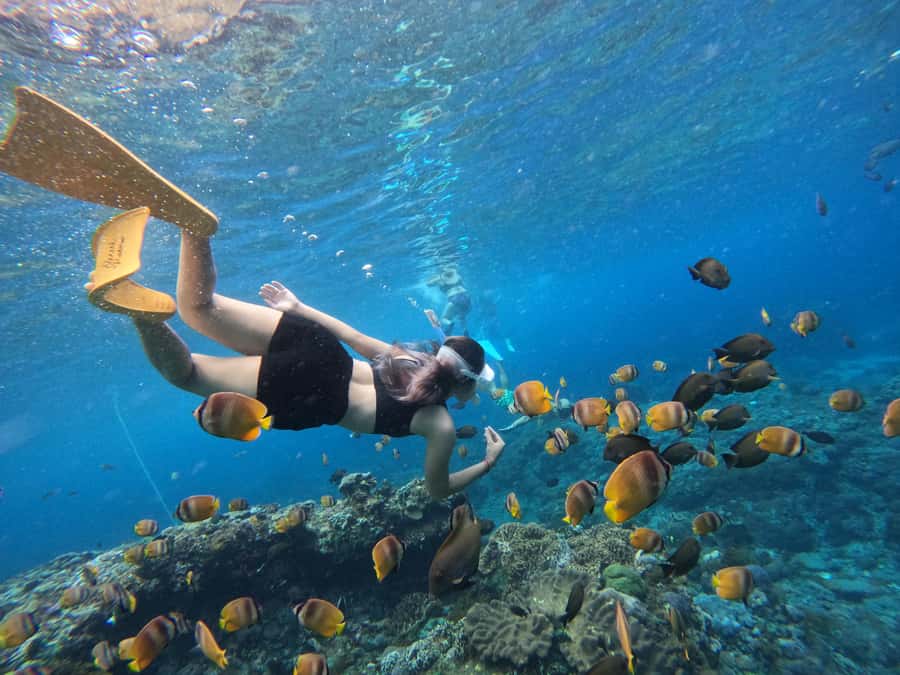 From Bali: 3 Snorkeling Spots Tour to Lembongan and Penida - Manta Bay: the best chance depends on water and weather
