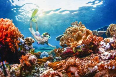 From Bali: 3 Snorkeling Spots Tour to Lembongan and Penida - Three reef stops around Nusa Lembongan and Penida