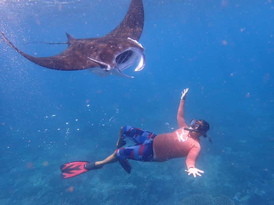 From Bali: 3 Snorkeling Spots Tour to Lembongan and Penida - Price and value: why $55 can make sense here