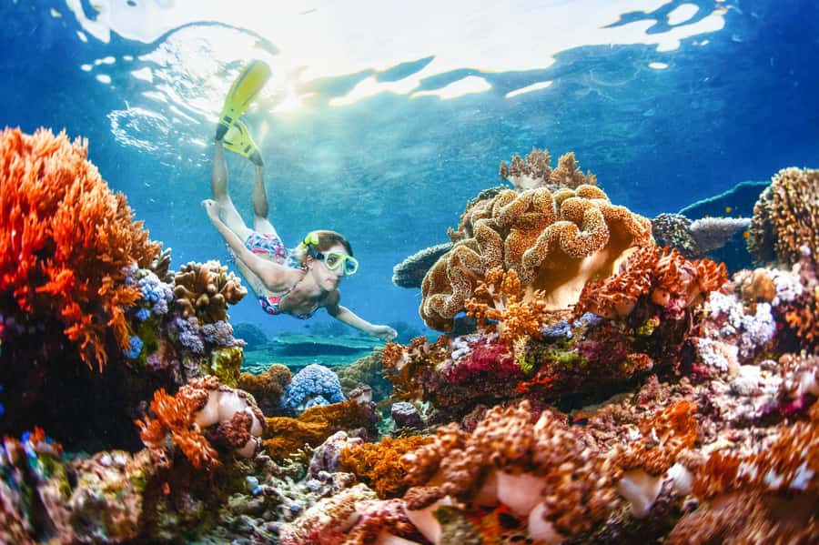 From Bali: 3 Snorkeling Spots Tour to Lembongan and Penida - Three reef stops around Nusa Lembongan and Penida