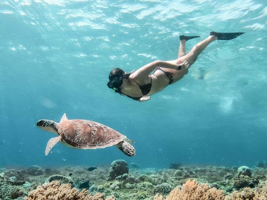 From Bali: Gili Islands Private Snorkeling Day Trip - Why this private snorkeling day feels easier than DIY