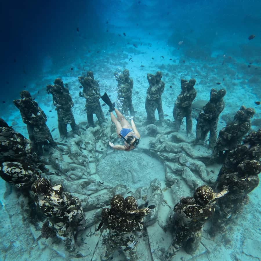 From Bali: Gili Islands Private Snorkeling Day Trip - The snorkeling sequence: what happens after the safety briefing
