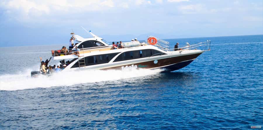 From Bali: Nusa Penida Full Day Private Snorkeling Tour - Quick hits: what makes this Nusa Penida tour click