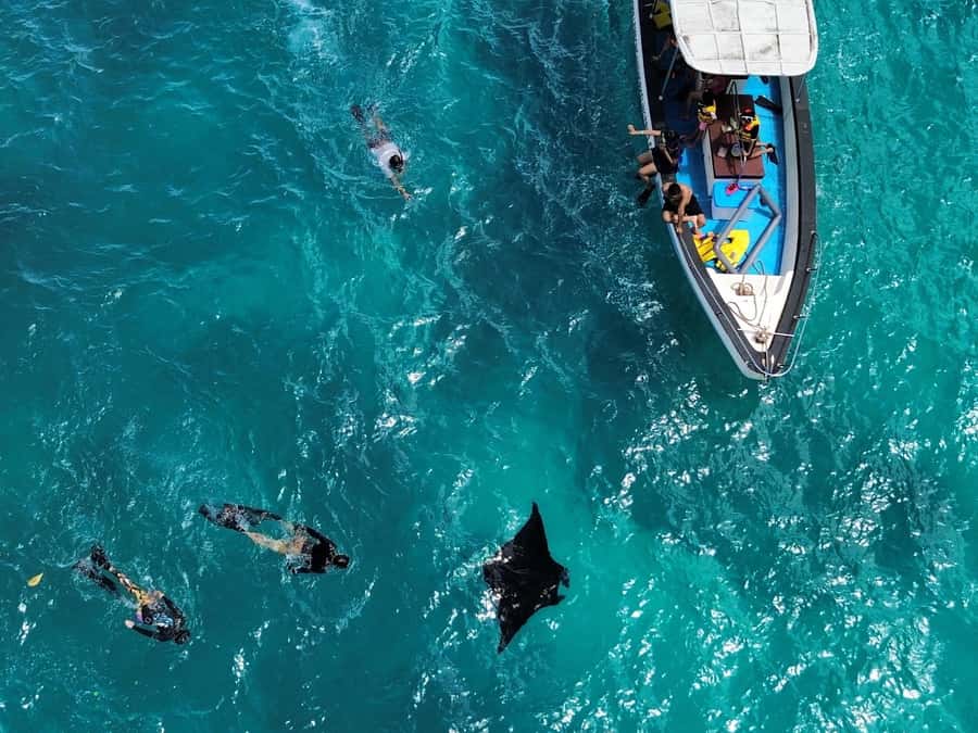 From Bali: Nusa Penida Full Day Private Snorkeling Tour - Bali to Nusa Penida, start to finish: Sanur fastboat timing