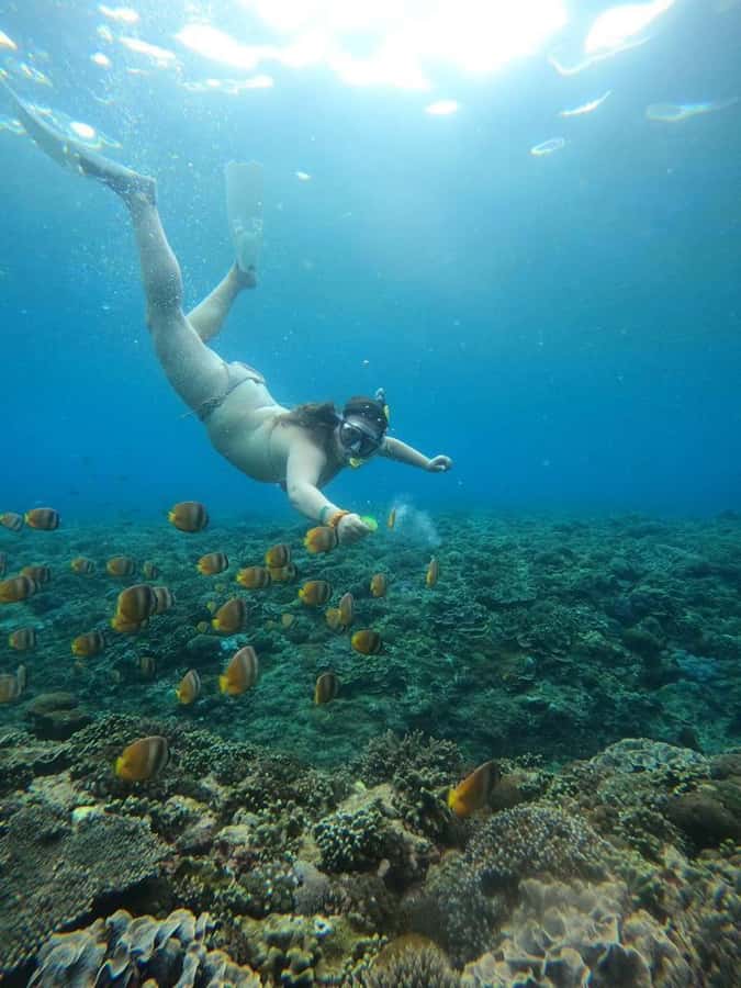 From Bali: Nusa Penida Full Day Private Snorkeling Tour - Stop 3: Gamat Bay for a quieter reef and comfortable swimming