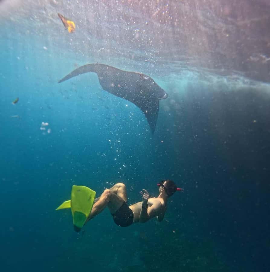 From Bali: Snorkeling 3 Spots with GoPro & West Penida Tour - Speedboat mornings from Sanur: how to avoid the stress