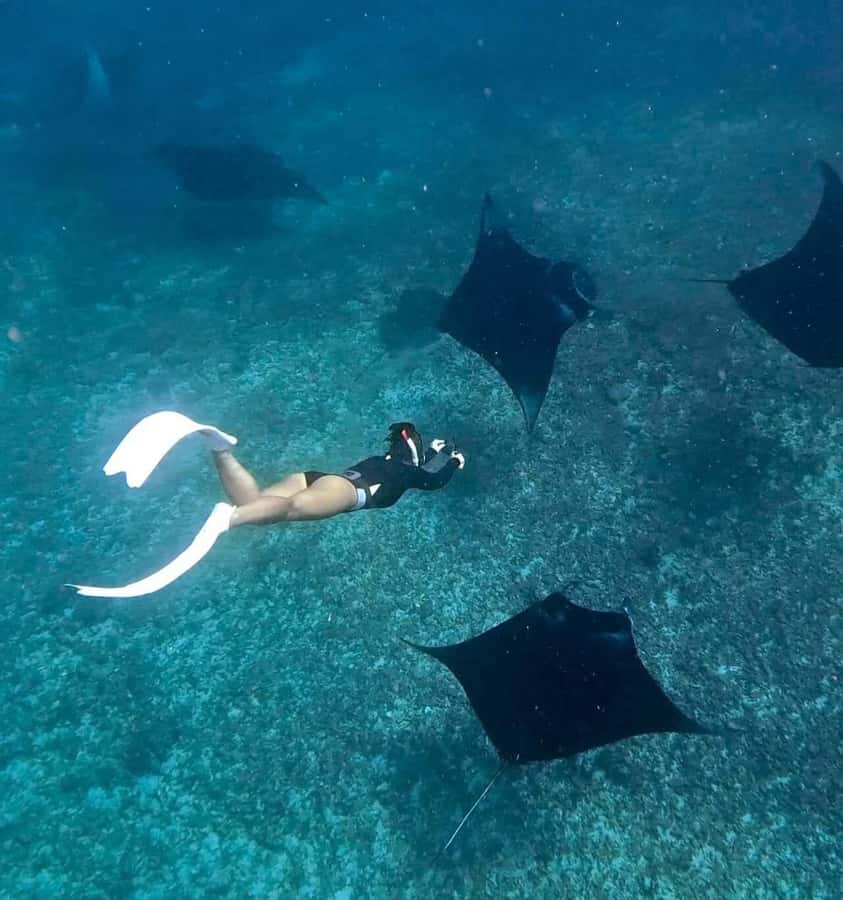 From Bali: Snorkeling at Manta Point Nusa Penida & Land Tour - Key things that make this tour worth your time