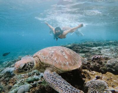 From Bali: Snorkeling at Manta Point Nusa Penida & Land Tour - Getting to Sanur and handling that early-morning pressure