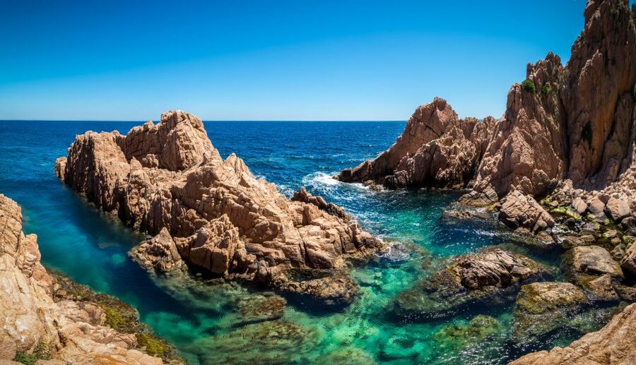 From Barcelona: Costa Brava Trails, Snorkeling & Cliff Jump - Getting to Bohème café: the meeting point tip that saves your day