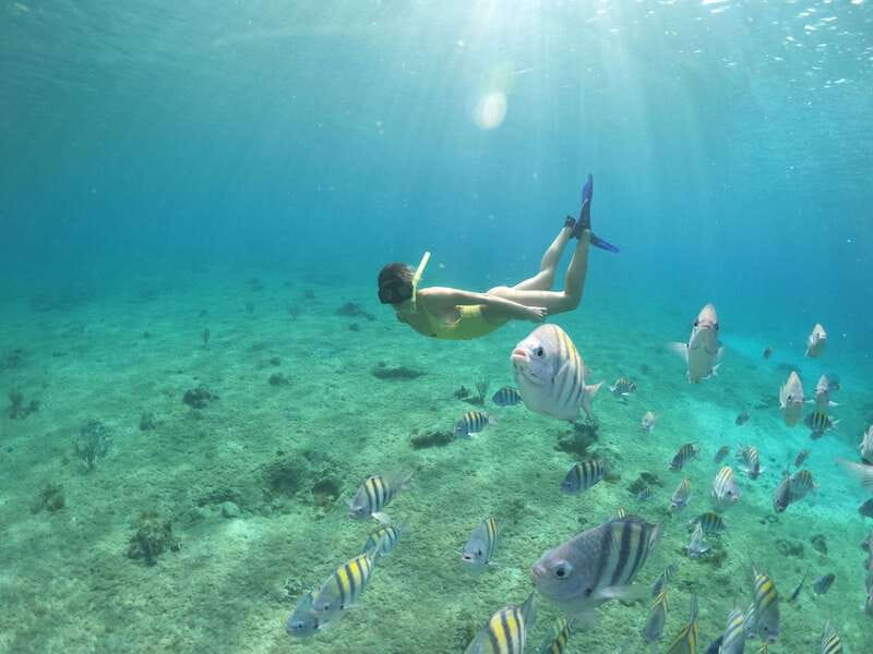 From Cozumel: 3 Reefs Boat Tour with Drinks and Snorkeling - Stop 1 around Palancar: deeper water, bigger fish energy