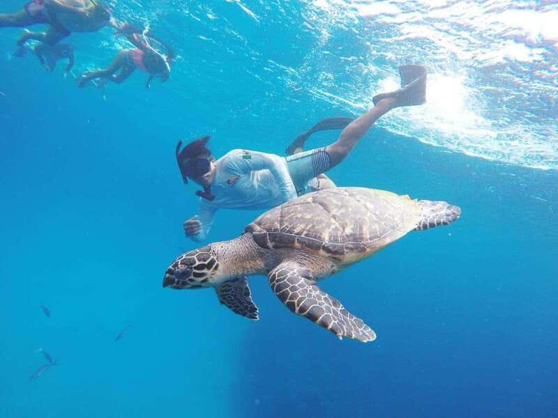 From Cozumel: 3 Reefs Boat Tour with Drinks and Snorkeling - The boat setup: shade, vest gear, and what to watch for