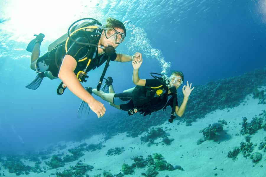 From Dubai: Fujairah Half-Day Scuba Dive and Snorkeling - Dubai to Fujairah: early pickup, a long ride, and why it’s still worth it