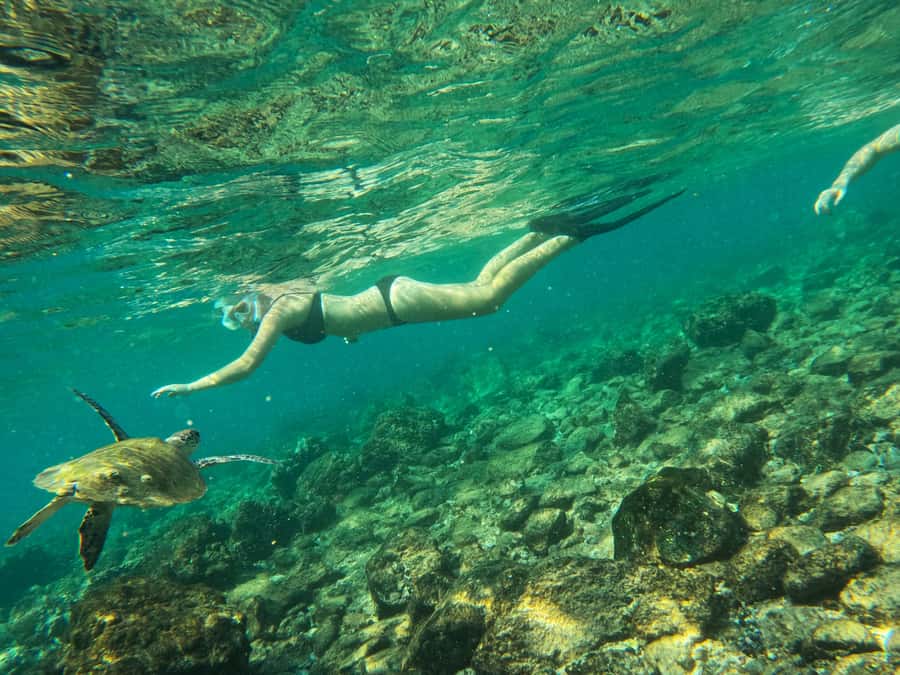 From Dubai: Fujairah Snorkeling with Turtles, Transfer & BBQ - From Dubai to Fujairah: what this trip feels like