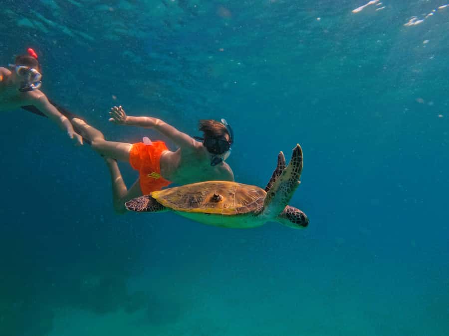From Dubai: Fujairah Snorkeling with Turtles, Transfer & BBQ - The boat setup: comfort that actually helps during a long day