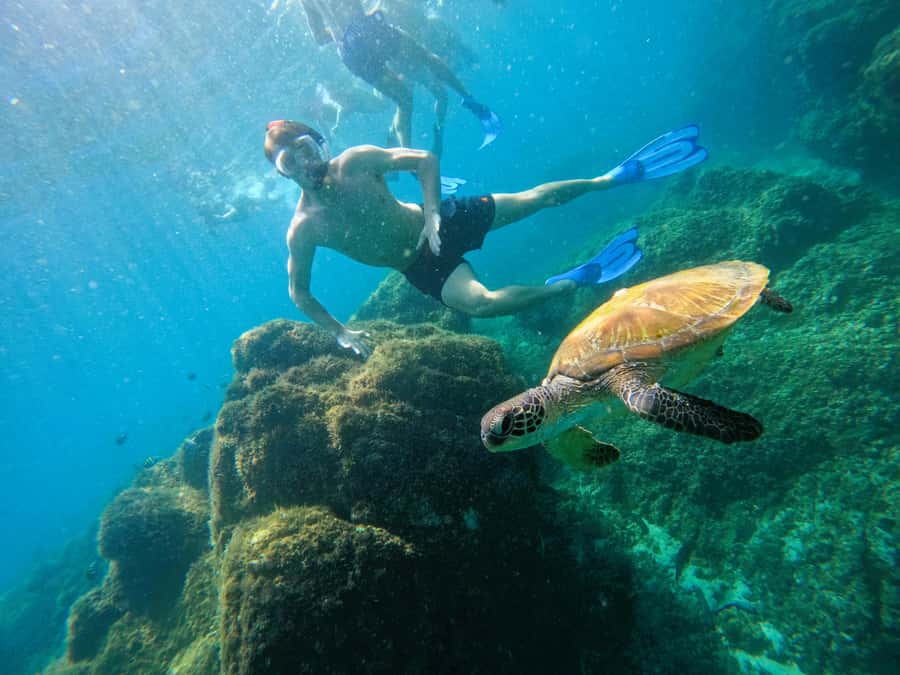 From Dubai: Fujairah Snorkeling with Turtles, Transfer & BBQ - Khorfakkan Waterfall, Amphitheatre, and Al Bidya Mosque stops