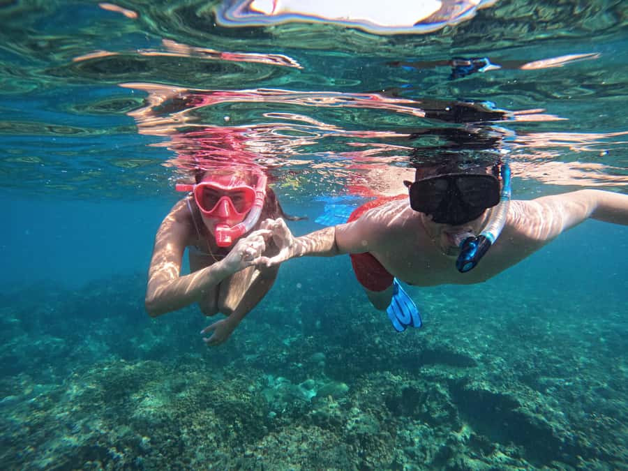 From Dubai: Fujairah Snorkeling with Turtles, Transfer & BBQ - Snoopy Island and Sharm Rocks: your snorkeling time and what you’re likely to see