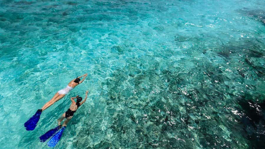 From Dubai: Snorkeling Trip to Dibba Al-Fujairah - Life Jackets and Calm Coaching: How the Team Keeps It Safe