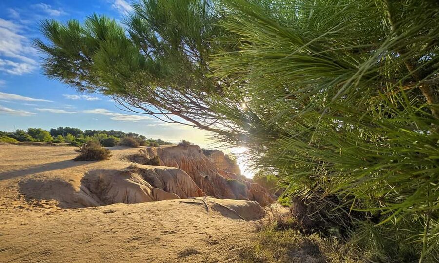 From Faro: 7 Valleys Hiking, Benagil Cave, & Snorkeling Tour - Price and Value: Is $57 a Good Deal for Benagil, Valleys, and Snorkeling?